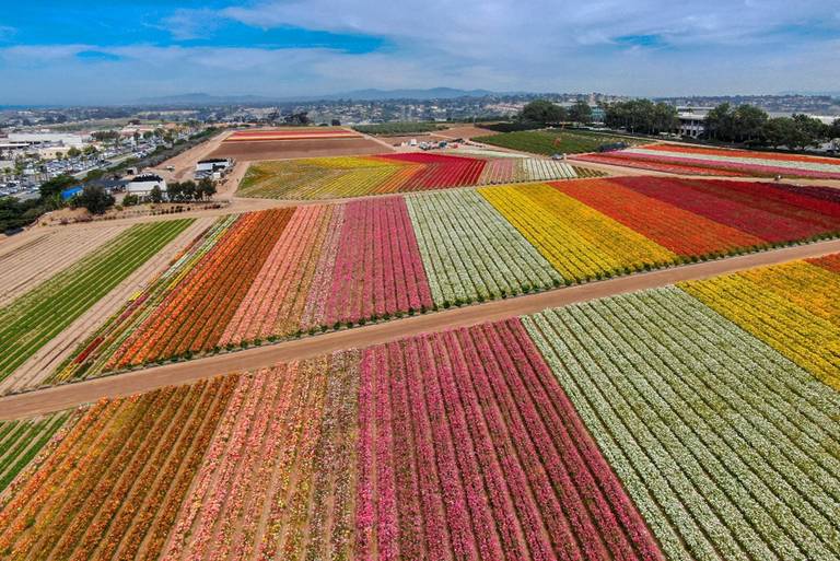 Spring In La Best activities and things to do this spring around L.A.