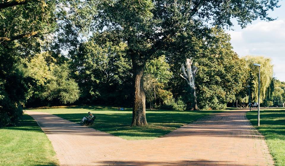 Lewis MacAdams Riverfront Park: Where Beautiful Views Meet Outdoor Fun