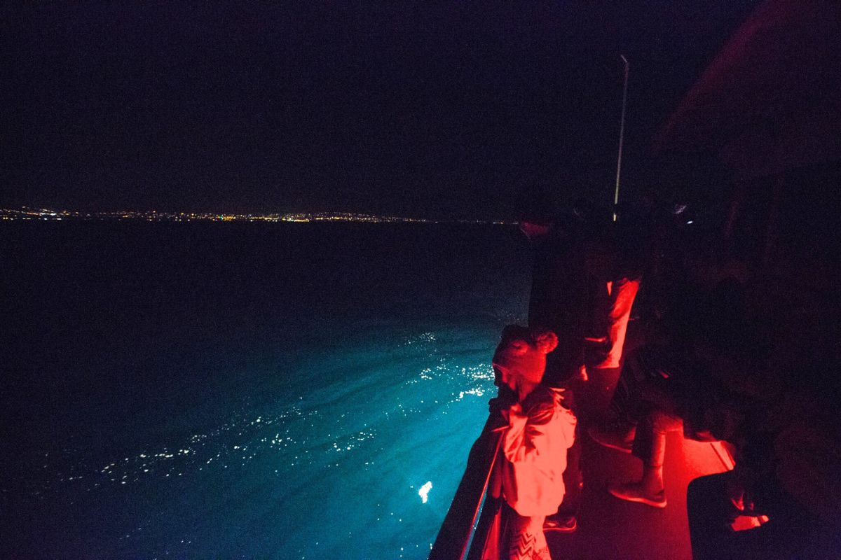 Bioluminescent night cruise