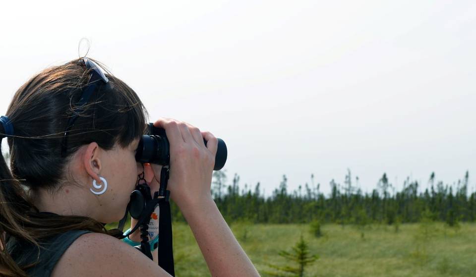 Grab Your Binoculars – California Is The Very Best State In The Entire Country For Birdwatching