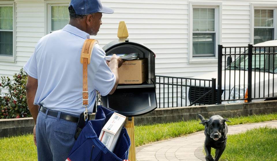 L.A. führt die Liste der Hundeangriffe auf USPS-Mitarbeiter an – 2024 gab es landesweit mehr als 6.000 Fälle