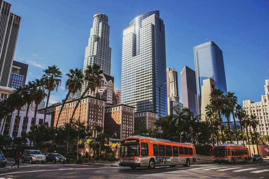 Gebäude und Palmen in Los Angeles.