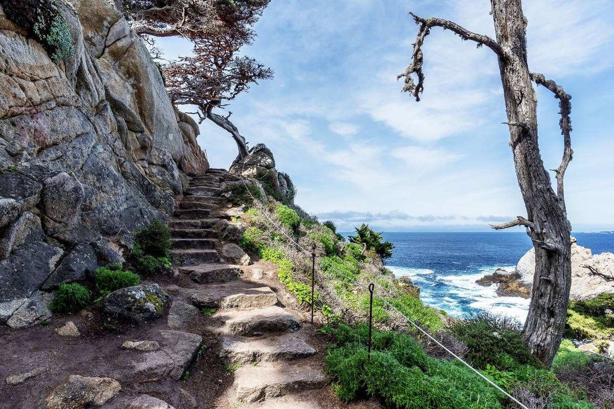 Point Lobos stairs