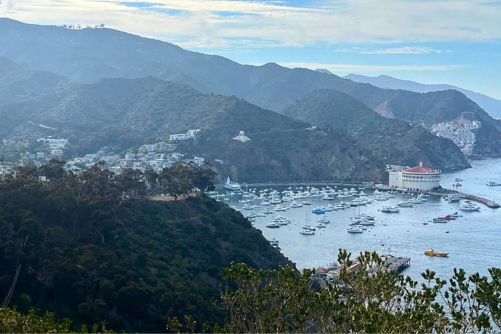 Catalina-Insel. Bildnachweis Joseph Kim.