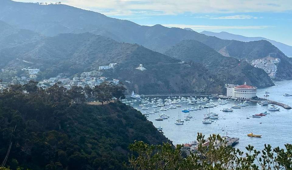 Vous pouvez conduire des voiturettes de golf jusqu&rsquo;à la falaise de Catalina pour profiter d&rsquo;une vue imprenable &#8211; une évasion sur l&rsquo;île à une heure de ferry de L.A.