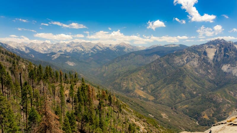Kings Canyon National Park.