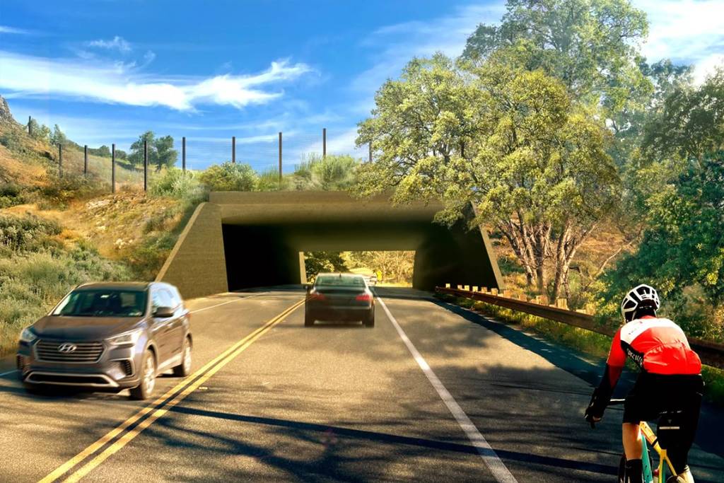 Wildlife crossing final stage