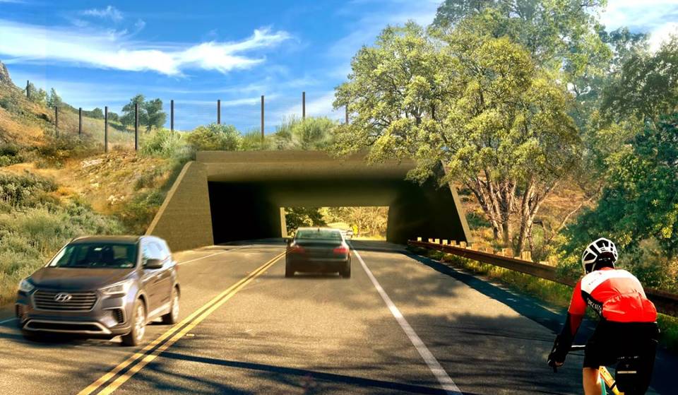 Die größte Wildtierüberquerung der Welt geht in die Endphase – sie wird die einheimischen Arten von L.A. und 300.000 Autofahrer täglich schützen