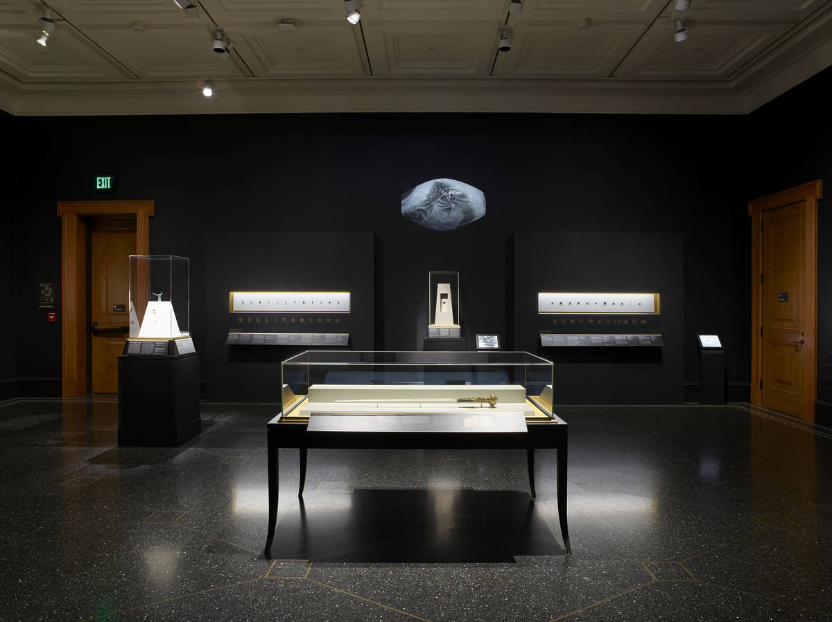 Kingdom of Pylos exhibition installation.