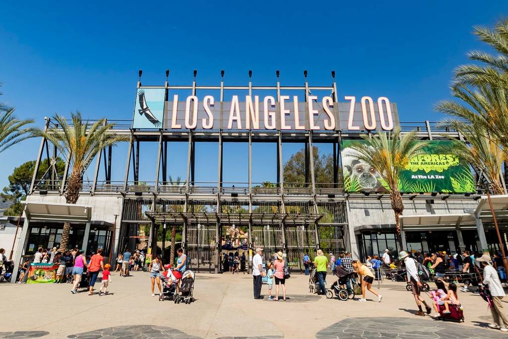 LA Zoo