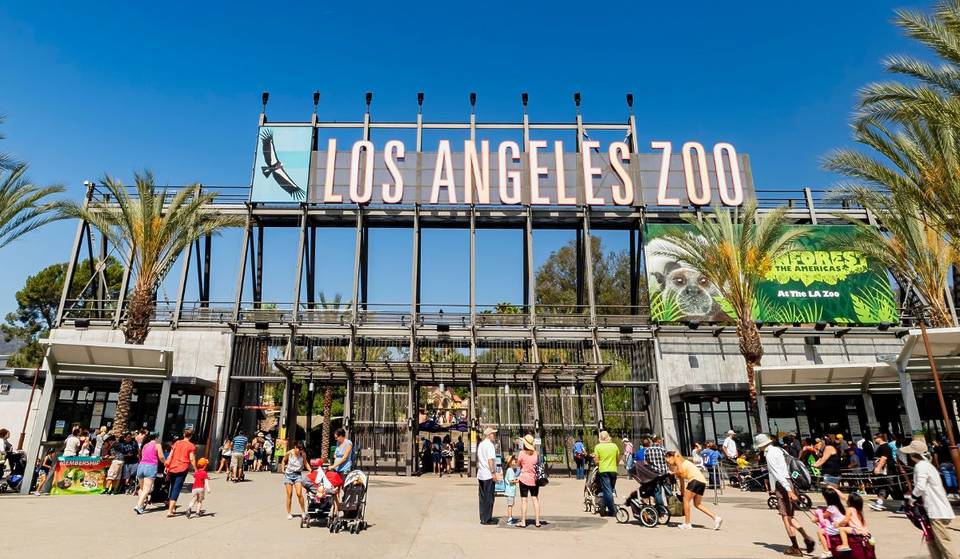 L.A. Zoo Raises Ticket Prices For The First Time Since 2019 — Tickets Will Cost $5 More Starting This July
