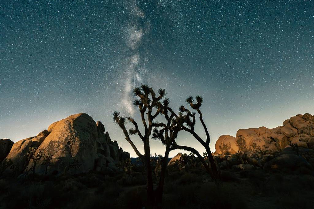 pluie de météores sur Joshua Tree