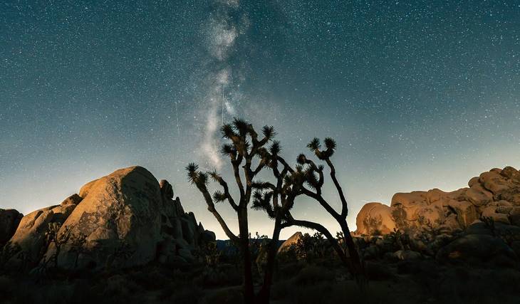 The Mesmerizing Southern Delta Aquariids Meteor Shower Will Peak This July Over SoCal’s Night Skies — Here’s How To Catch It