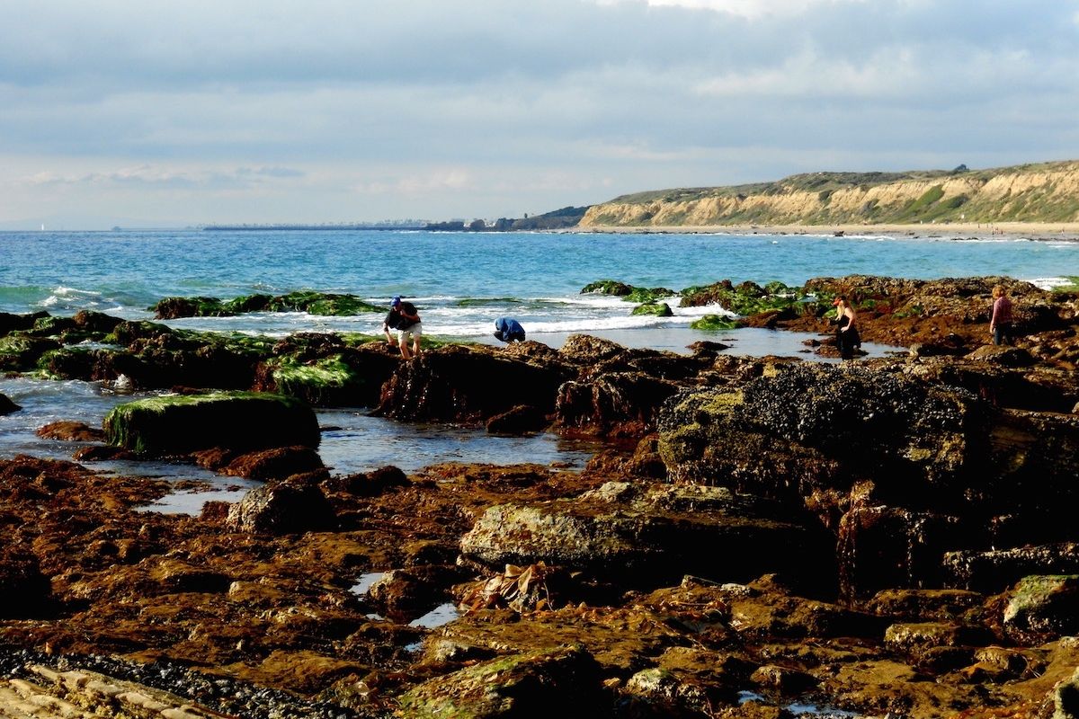 Crystal Cove Tide Pool