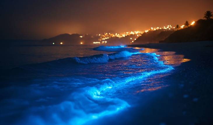 This Magical Cruise Lets You Sail SoCal’s Electric-Blue Glowing Waves On Summer Nights — Less Than 2 Hours From L.A.