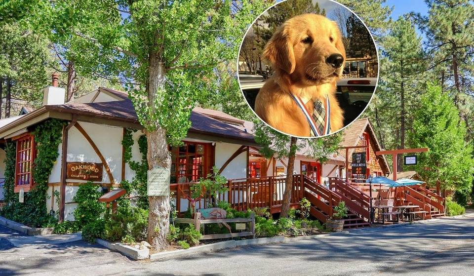 Cette charmante ville alpine proche de Los Angeles a été désignée comme l&rsquo;un des meilleurs endroits où vivre en Californie. Elle est célèbre pour son maire, un golden retriever.