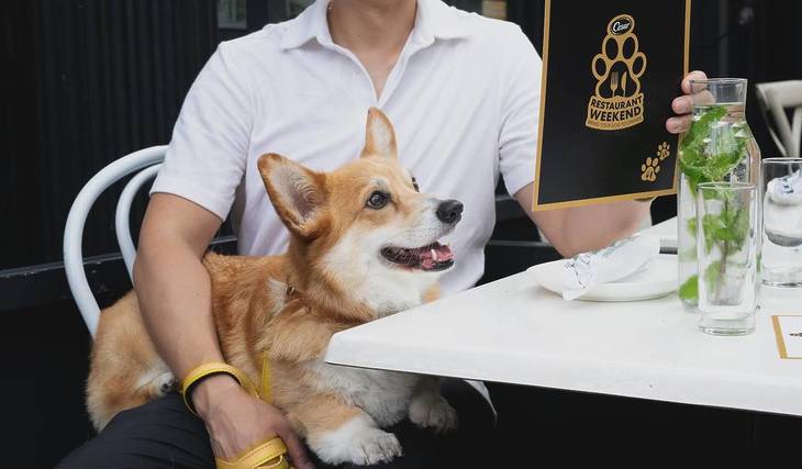This Doggy Dining Experience Is Coming To LA For One Weekend Only