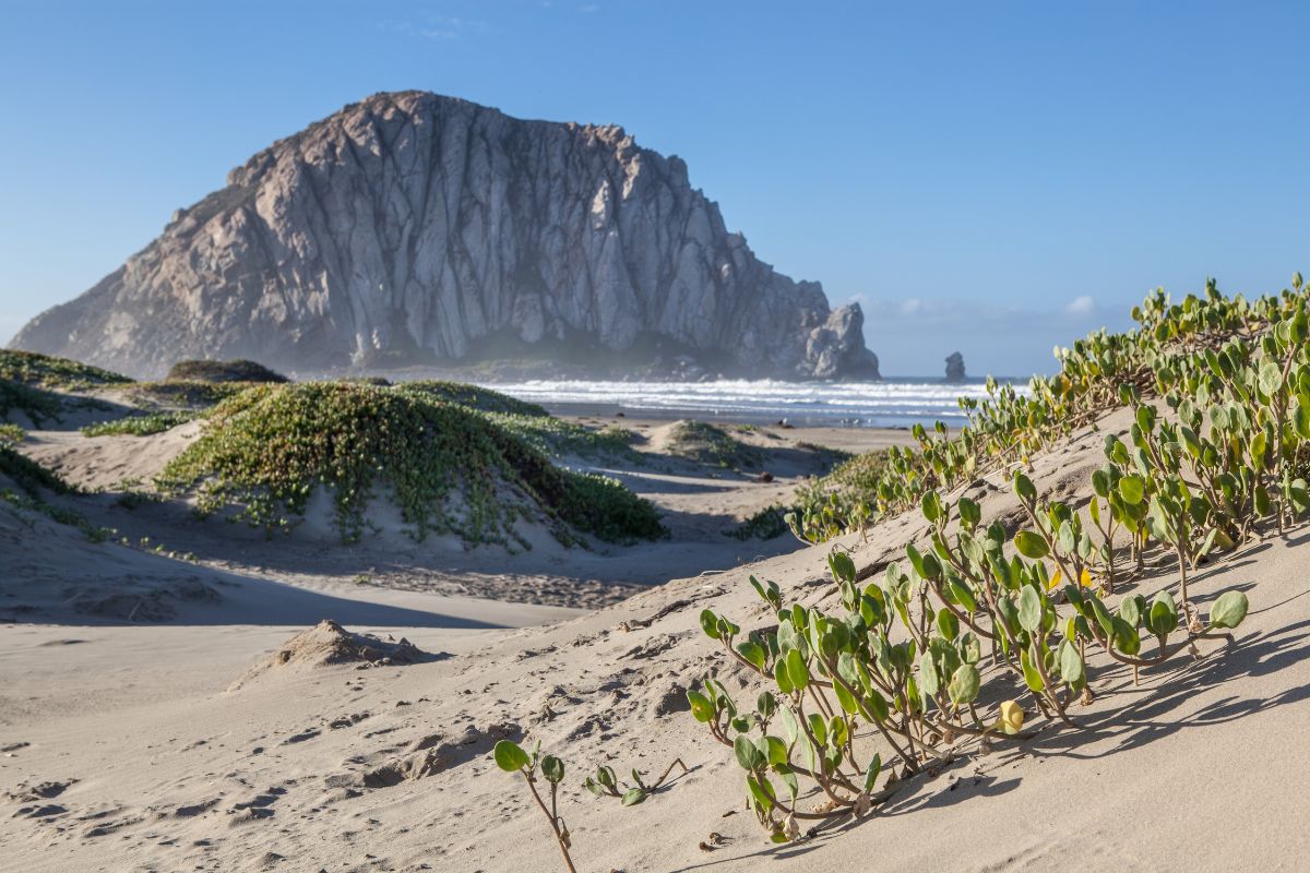 Morro Bay_beach