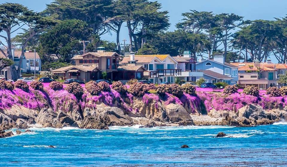 A Scenic California Hamlet Was Deemed One Of The Best Small Towns In The Country — Nicknamed ‘Butterfly Town, U.S.A.’