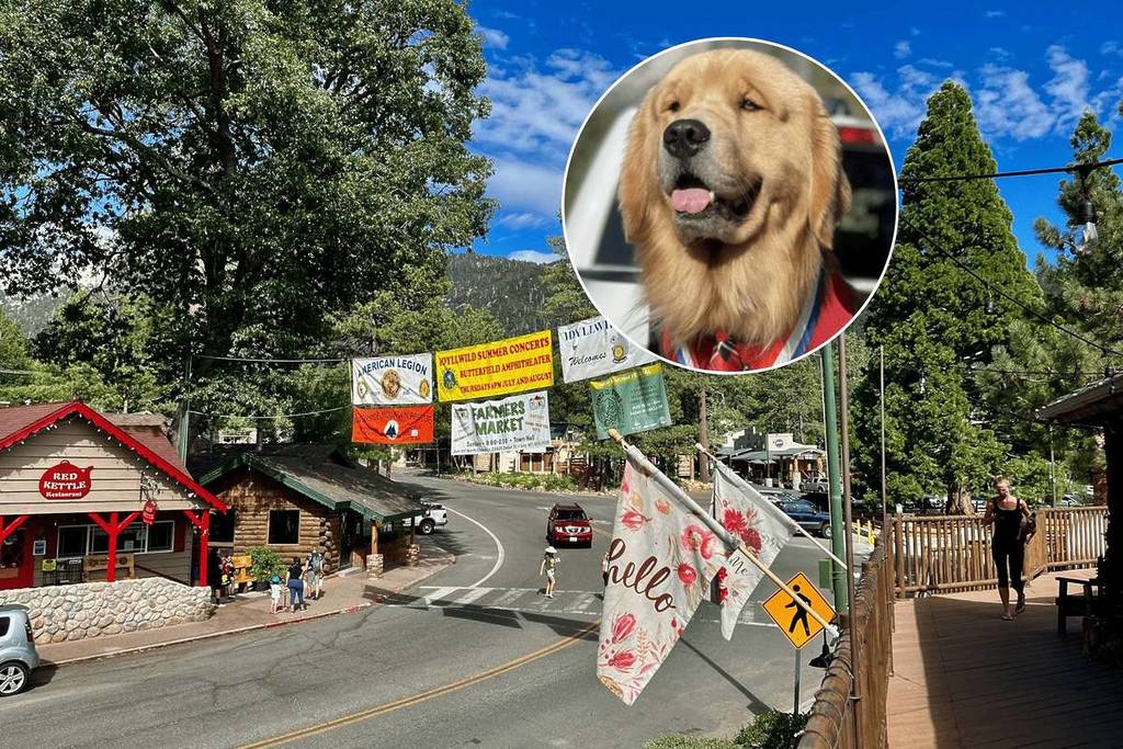Alcalde Max y la ciudad de Idyllwild, CA