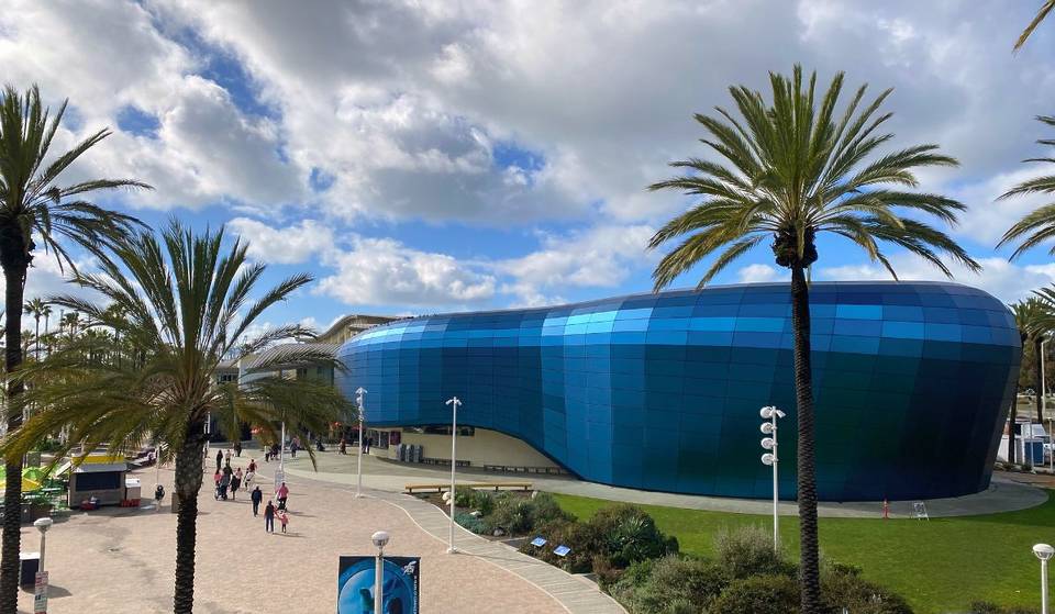 El Aquarium Of The Pacific organiza dos noches especiales de jazz en directo, arte y vibraciones submarinas.