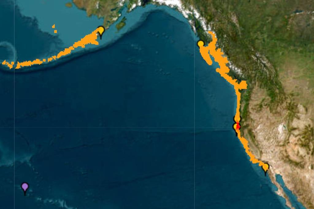 Tsunami california