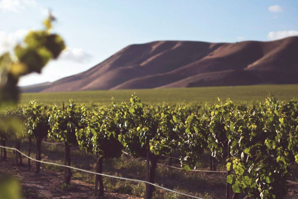 Beste Weinregionen