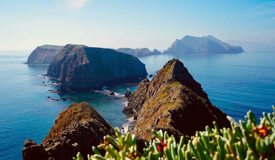 Les « Galápagos de l&rsquo;Amérique du Nord » &#8211; Le parc national le moins visité de Californie abrite plus de 150 espèces que l&rsquo;on ne trouve nulle part ailleurs sur Terre.