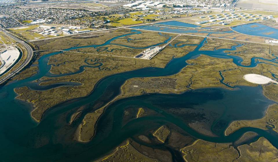 Un refuge côtier de plus de 900 acres est caché à seulement 30 miles de Los Angeles – et vous pouvez l’explorer gratuitement.