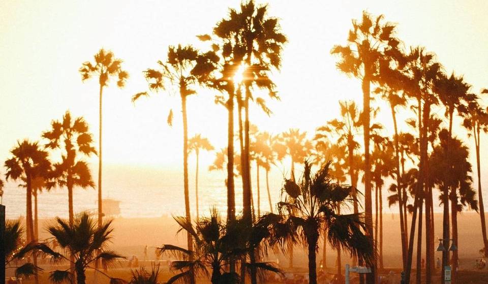 Herbstliche Hitzewelle in Südkalifornien: Santa-Ana-Winde lassen Temperaturen in die Höhe schnellen