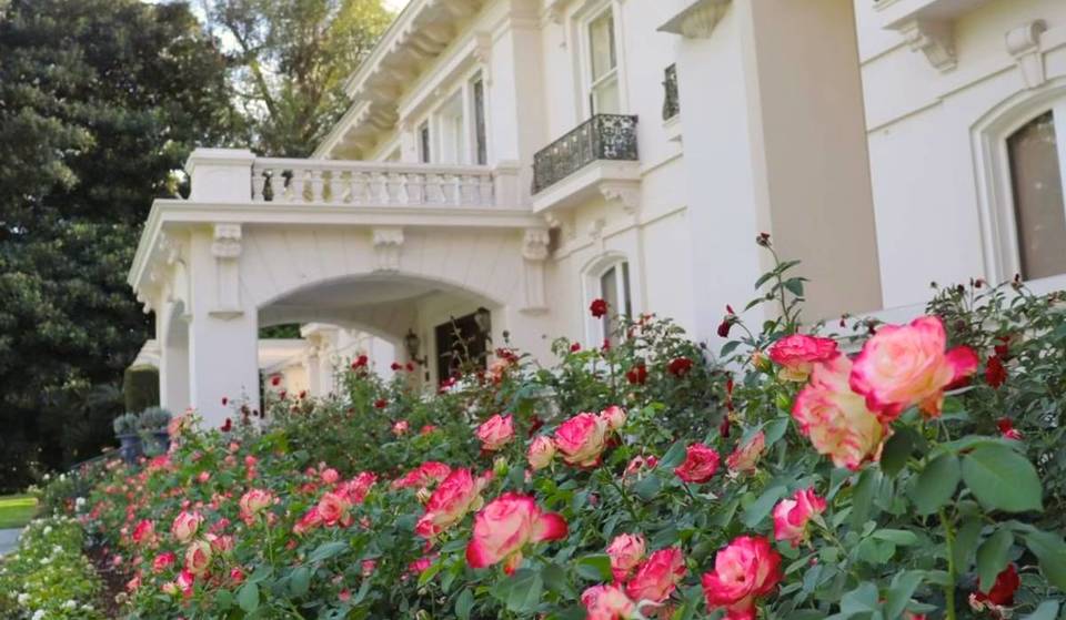Ce jardin secret situé à 15 minutes de DTLA s&rsquo;étend sur 4,5 acres et compte plus de 1 500 variétés de fleurs – et vous pouvez le visiter gratuitement.