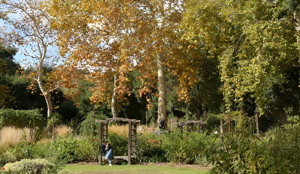 Autumn Equinox 2025: When It Is And What It Means
