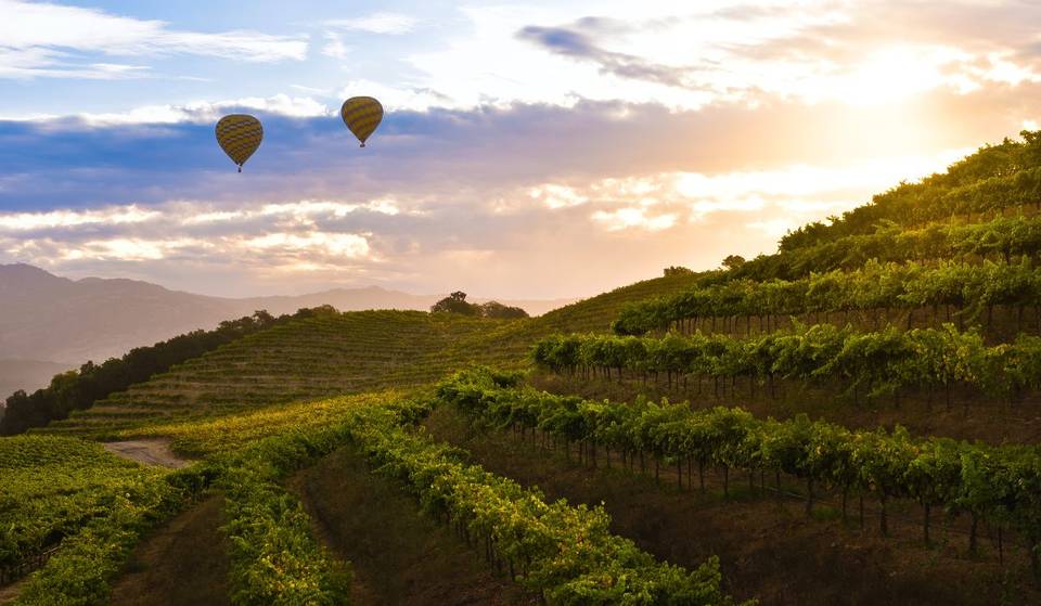 La Toscane américaine est une région viticole de rêve située à 6 heures de Los Angeles, avec un château et des montgolfières.