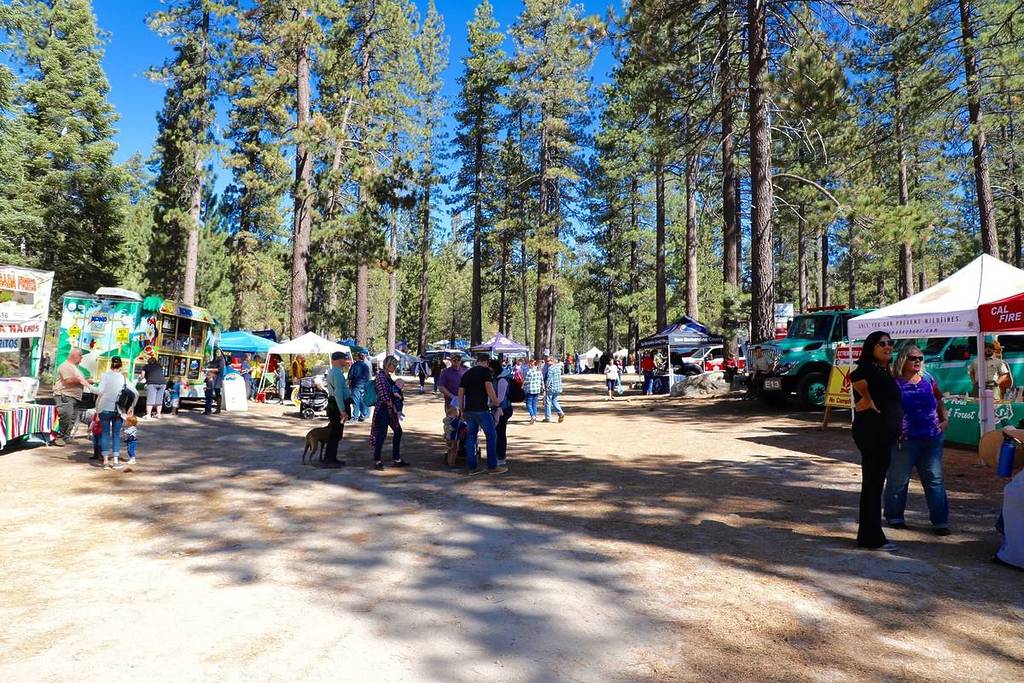 Pine Cone Festival grounds