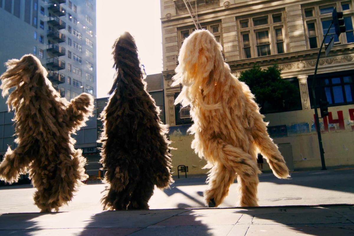 Photos of the Cortege experience