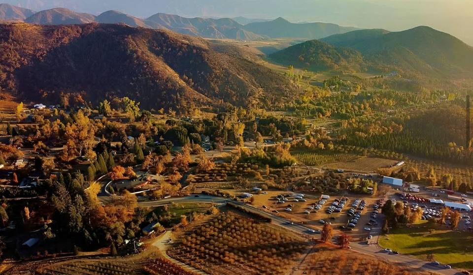 La plus grande et la plus ancienne ferme de pommes de SoCal se trouve à moins de deux heures de Los Angeles – et la saison de l&rsquo;autocueillette bat son plein.