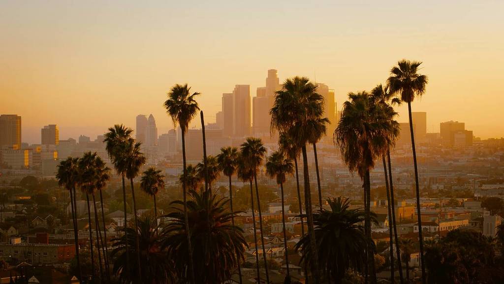 Sonnenuntergang in Los Angeles mit Palmen