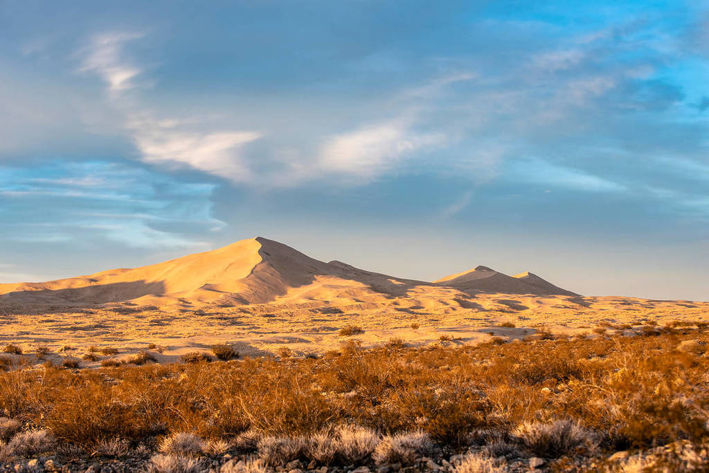 Mojave National Preserve sand dunes.