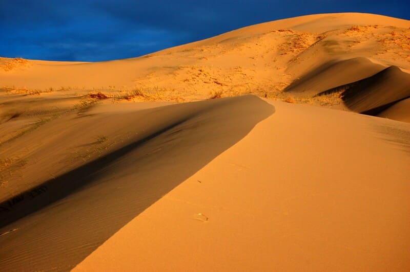 Mojave National Preserve sand dune