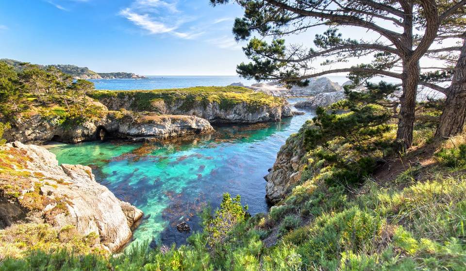 California’s ‘Crown Jewel’ Is Officially The State’s Most Visited Park — Famous For Its Kelp Forests And Adorable Sea Otters