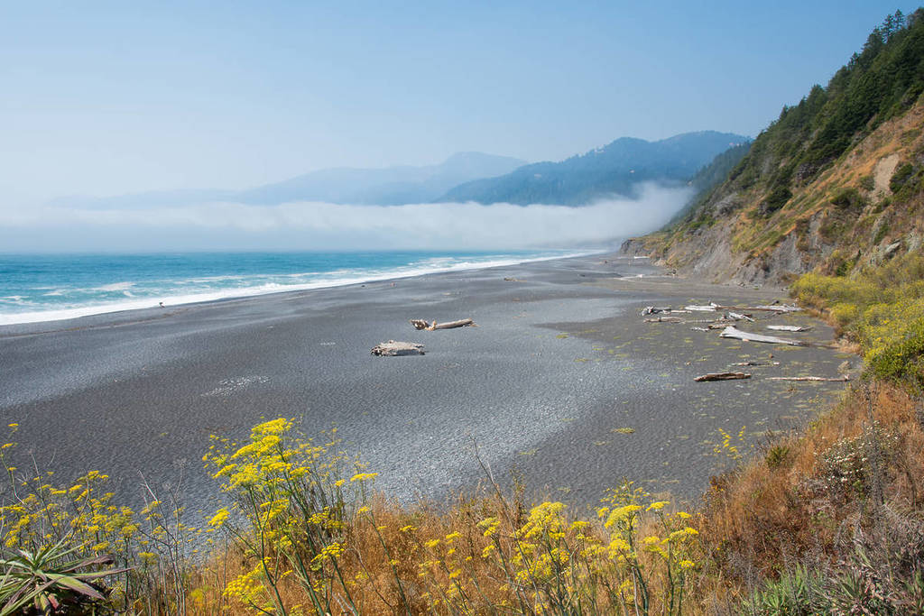 Plage de sable noir de la Lost Coast