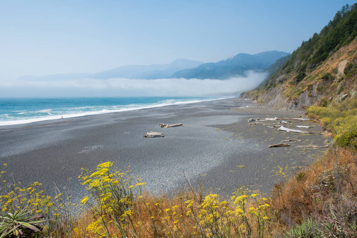 California’s Most Remote And Wild Coastline Boasts 75 Miles of Black Sand Beaches, Coastal Forests, And An Abandoned Lighthouse