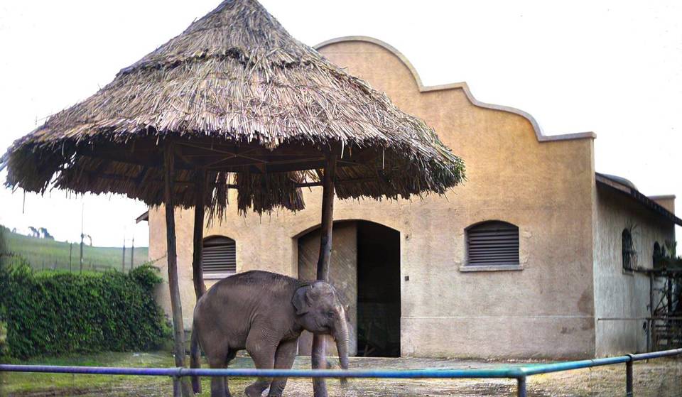 Lincoln Heights a accueilli le premier zoo au monde pour les animaux d&rsquo;Hollywood &#8211; présentés dans des films muets