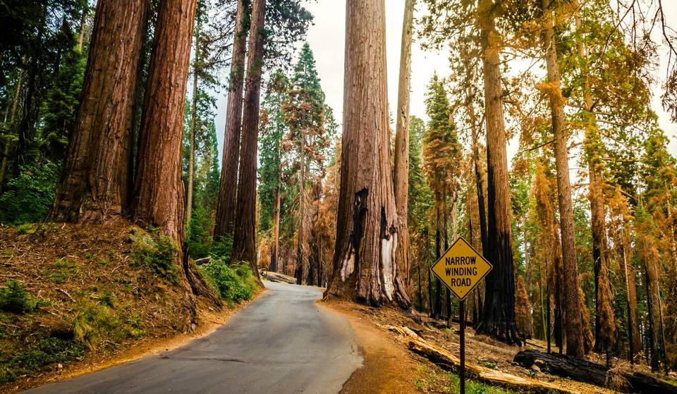 Tu peux visiter gratuitement les parcs nationaux de Californie pendant une seule journée cette semaine — voici les meilleurs à découvrir