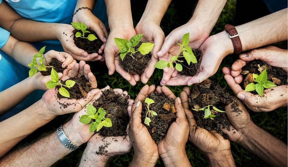 This Community Greenhouse Is Giving Away 2,000 Free Plants To Angelenos This Weekend – Here&#8217;s How To Get Yours