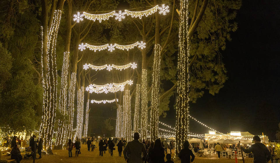 1 Million Brilliant Lights Adorn This Century-Old Lavender Farm For The Holidays — Check It Out 1.5 Hours From L.A.