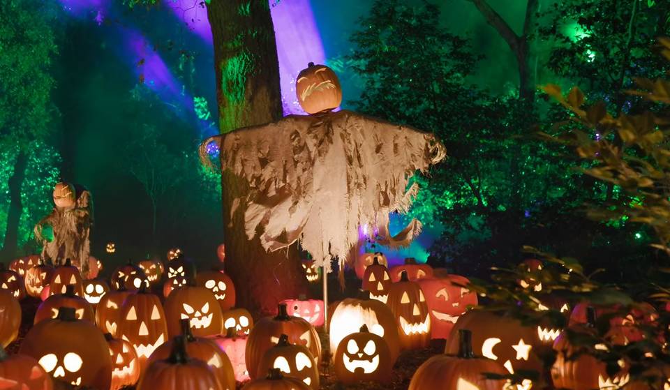 Los Angeles ist die drittbeste Stadt für Halloween in den USA &#8211; dank seiner fußläufigen Erreichbarkeit und der legendären Süßigkeitenausbeute