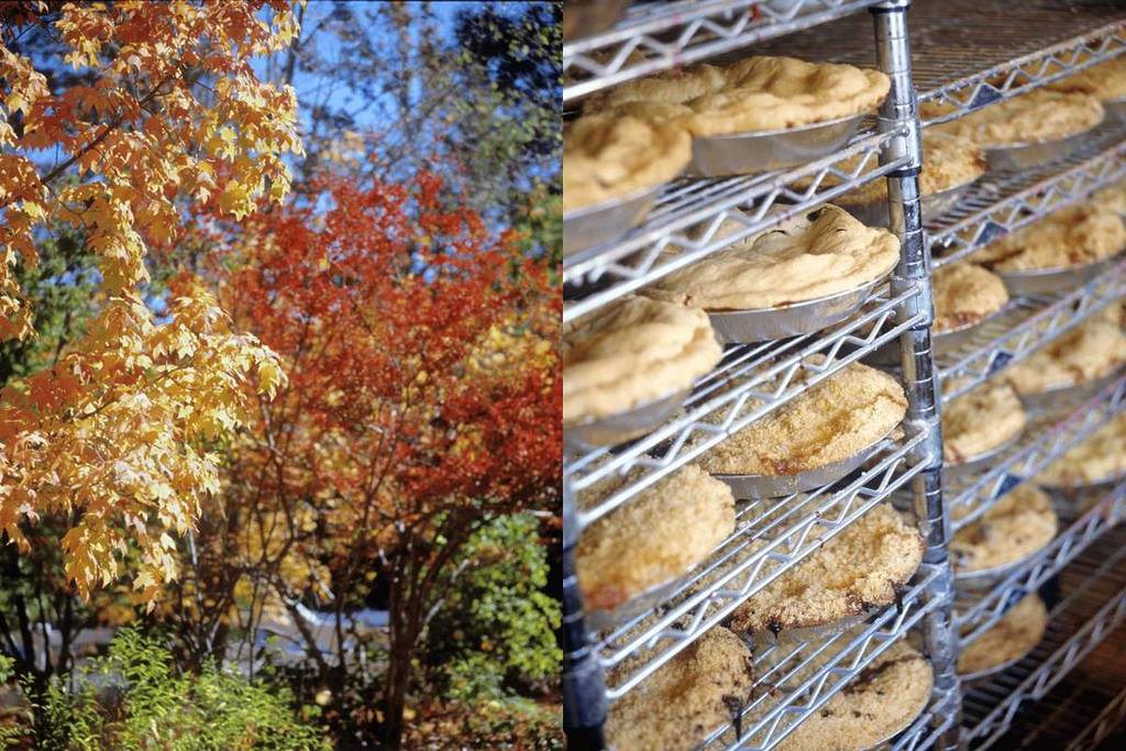Fall foliage and apple pie in Julian, California