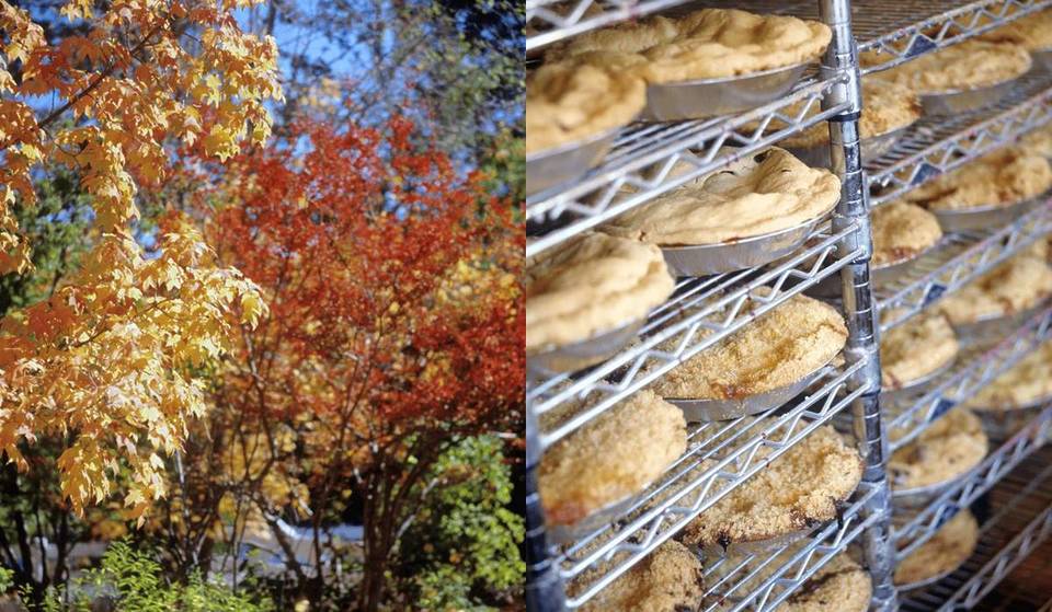 This Autumnal California Mountain Town Is Famous For Apple Pie, Fall Foliage, And Stargazing — Reach It In 2.5 Hours From L.A.