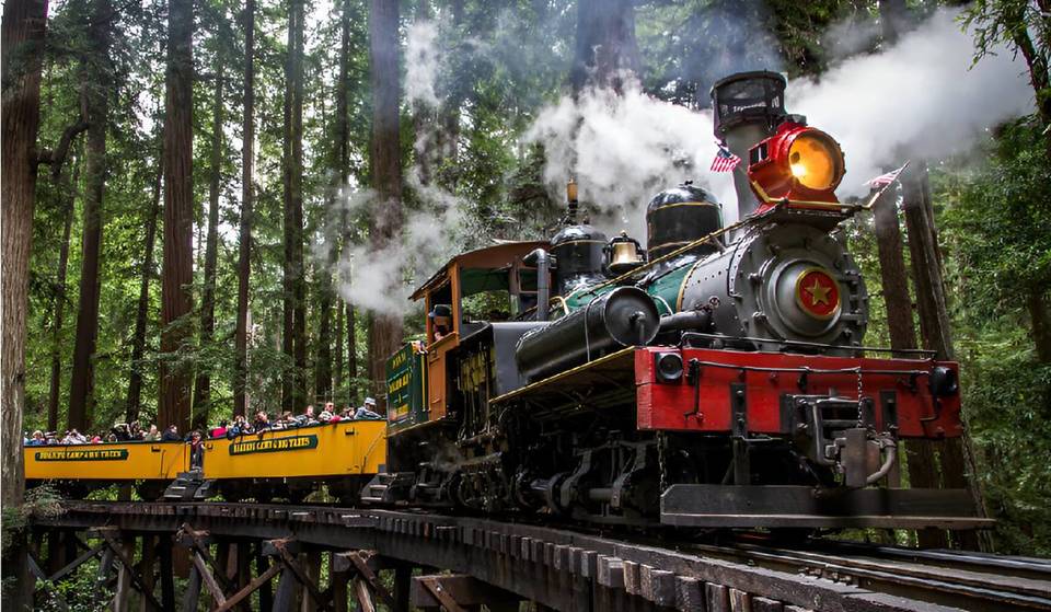 This Scenic Steam Train Ride Takes You Through California’s Towering Redwoods — In A Historic 1912 Locomotive